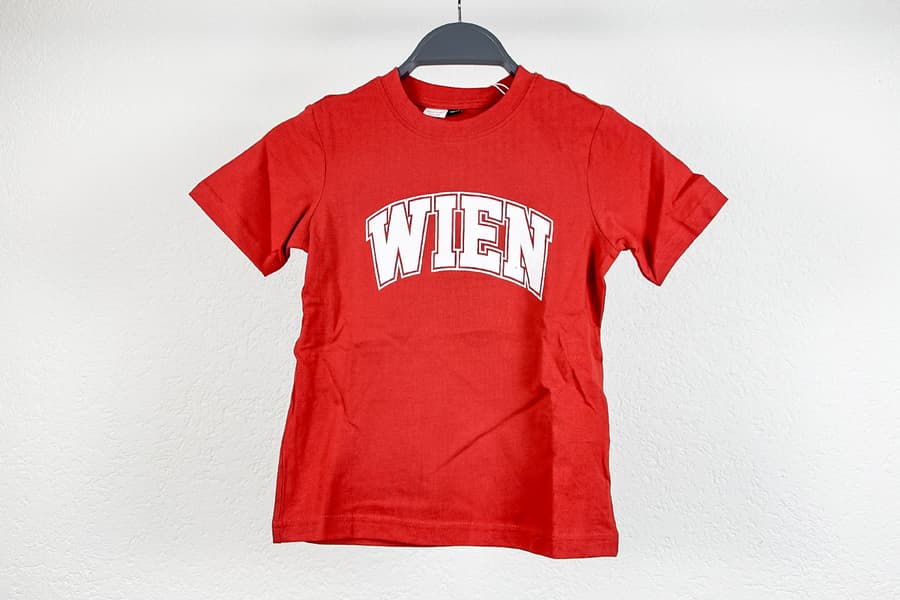 4 Kinder T-Shirts Higgins, Gr. 146/152